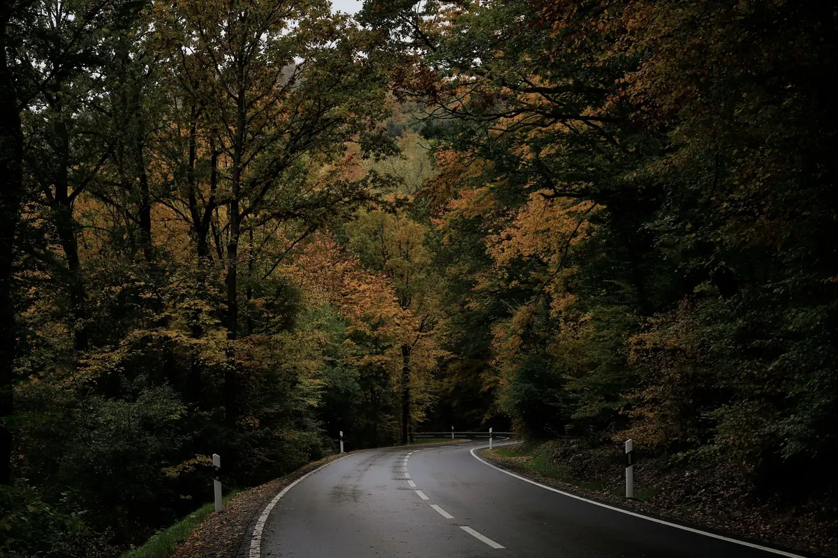Best Scenic Drives in the Great Lakes Region for Fall Foliage